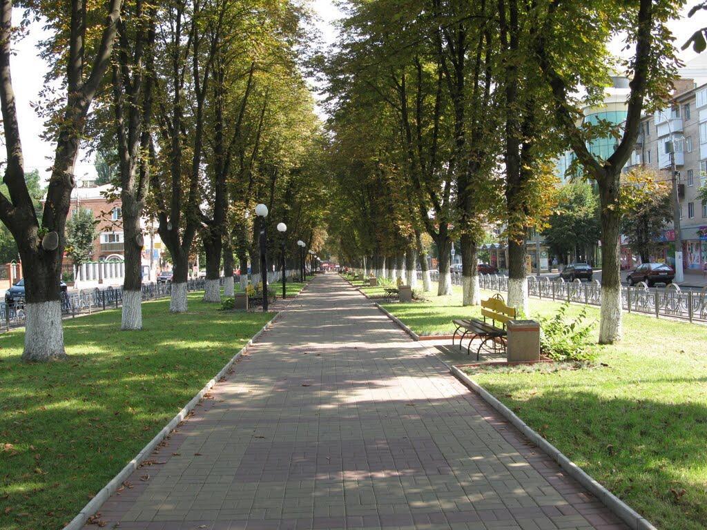 Неймовірно Затишна Студія У Центрі Міста Біля Лікарні Імені Пирогова Winnica Zewnętrze zdjęcie