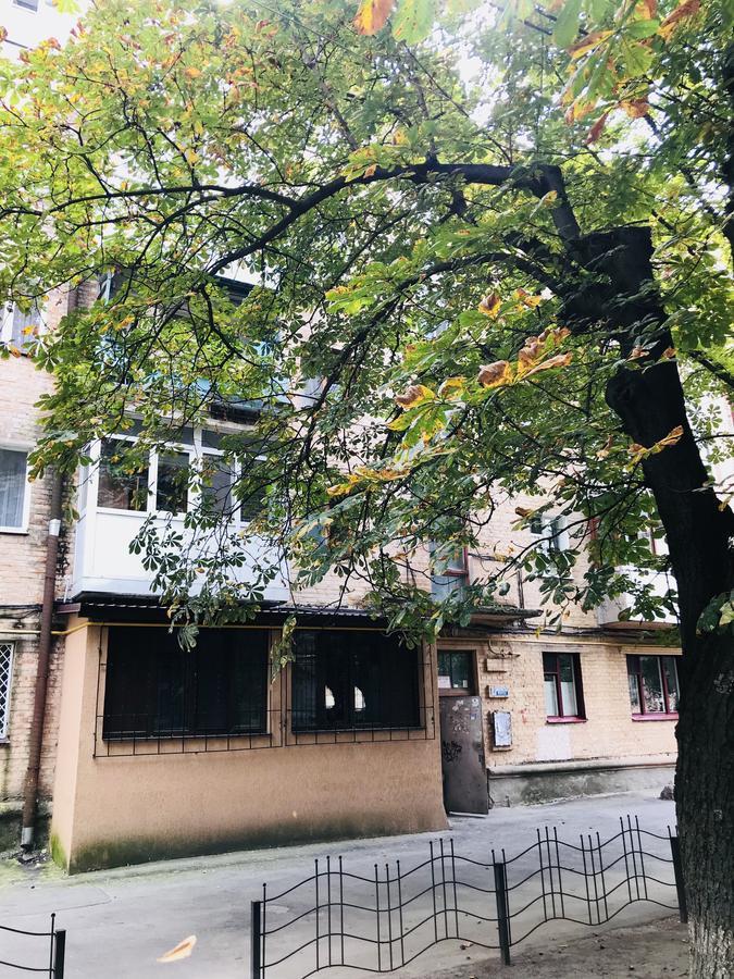 Неймовірно Затишна Студія У Центрі Міста Біля Лікарні Імені Пирогова Winnica Zewnętrze zdjęcie